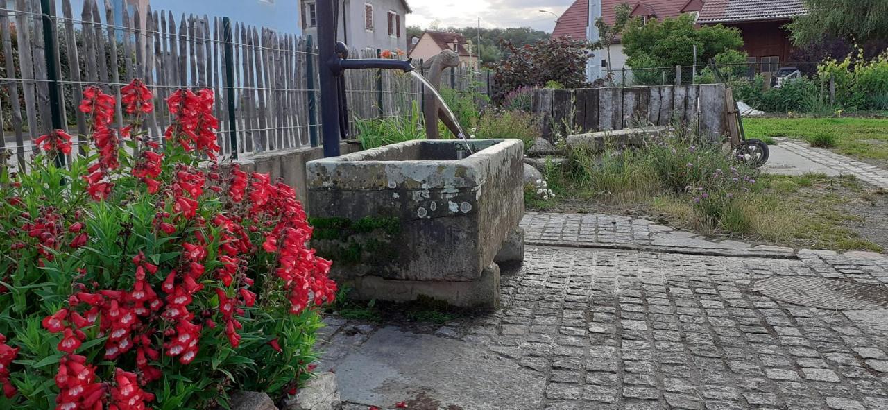 Aux 3 Marteaux Apartamento Soppe-le-Haut Exterior foto